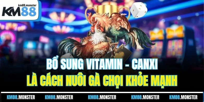 Bổ sung Vitamin - Canxi là cách nuôi gà chọi khỏe mạnh