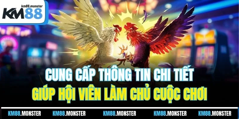 Cung cấp thông tin chi tiết giúp hội viên làm chủ cuộc chơi