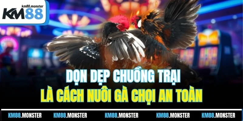 Dọn dẹp chuồng trại là cách nuôi gà chọi an toàn