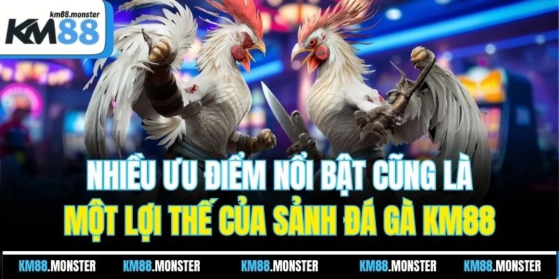Nhiều ưu điểm nổi bật cũng là một lợi thế của sảnh đá gà KM88
