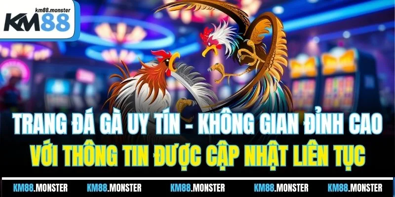 Trang đá gà uy tín - Không gian đỉnh cao với thông tin được cập nhật liên tục